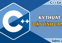 Bài 18 – Kỹ thuật đặt lính canh trên mảng một chiều Kỹ thuật đặt lính canh trong mảng một chiều